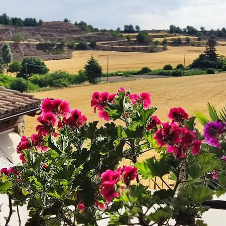 El Clos 3 * Conesa